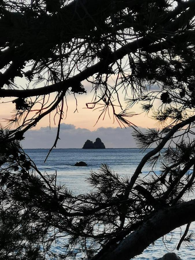 Appartement Pied Dans L'Eau La Seyne-sur-Mer Bagian luar foto