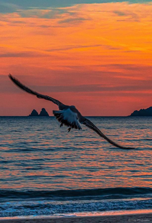 Appartement Pied Dans L'Eau La Seyne-sur-Mer Bagian luar foto