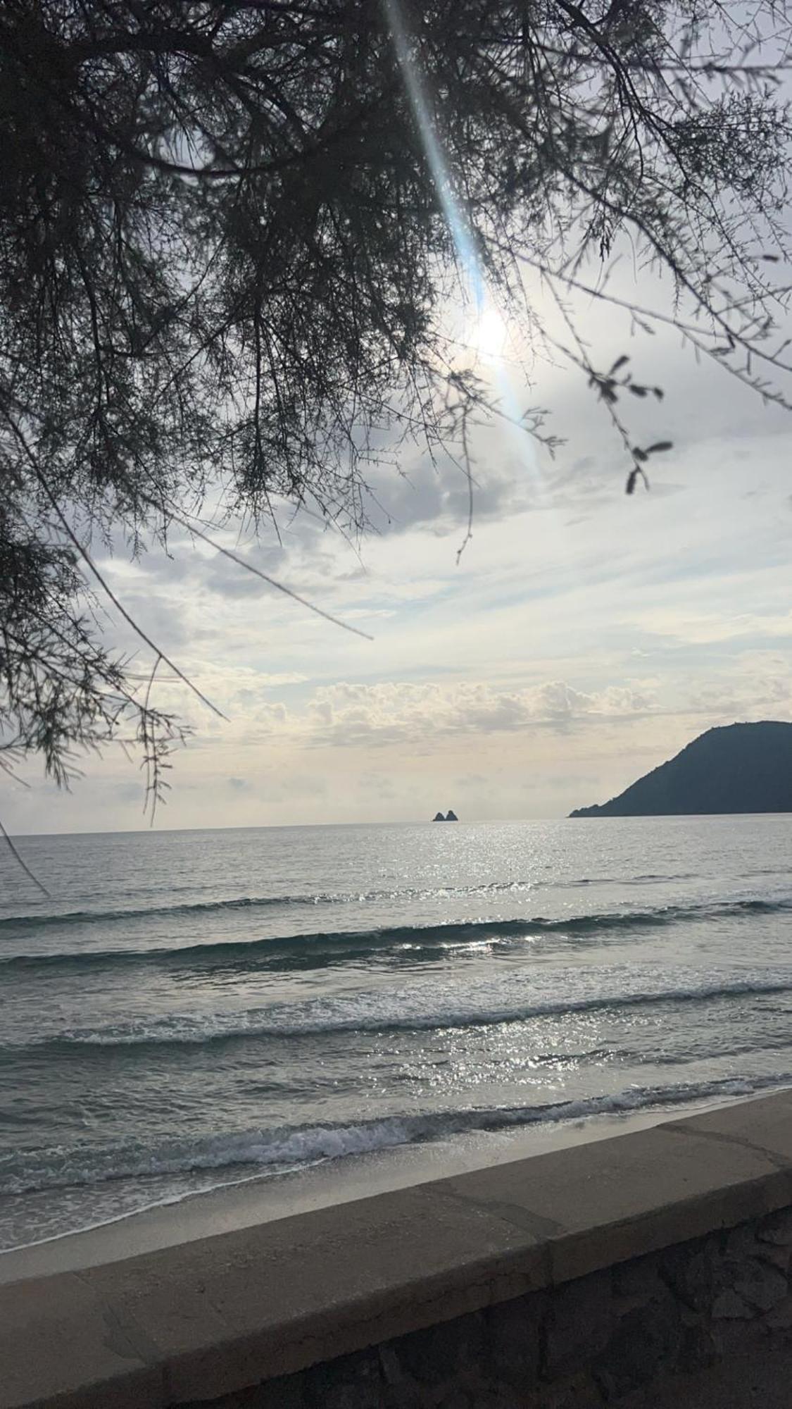 Appartement Pied Dans L'Eau La Seyne-sur-Mer Bagian luar foto
