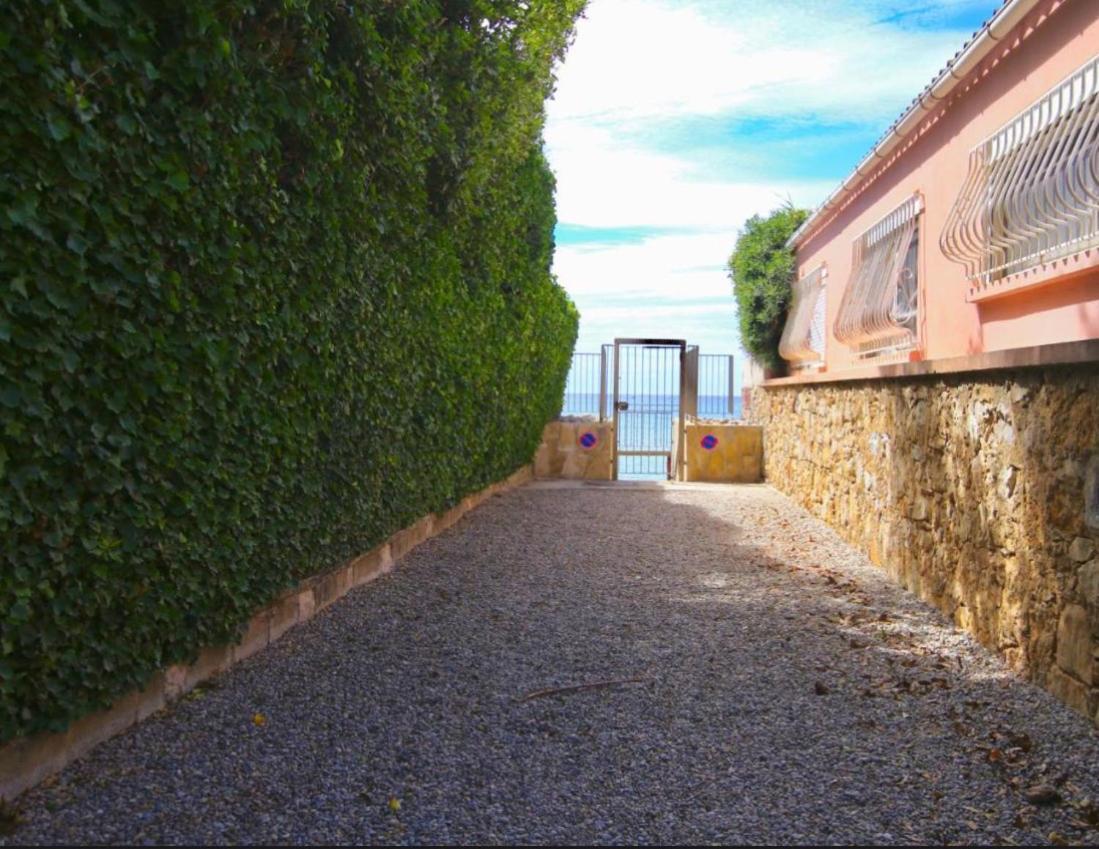 Appartement Pied Dans L'Eau La Seyne-sur-Mer Bagian luar foto